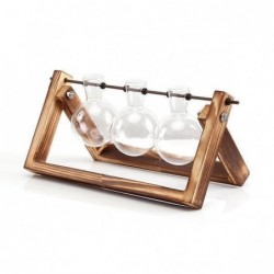 Rustic Plant Terrarium with...