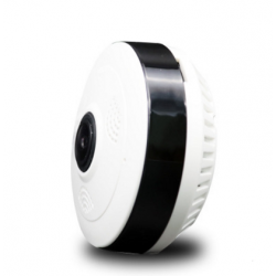 Panoramic home monitor...
