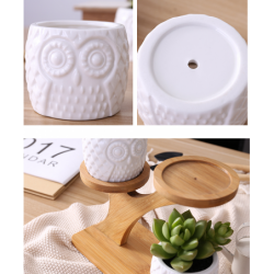 Owl Wooden Tree