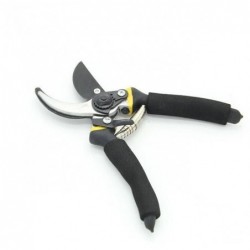 Garden Shears Fruit Tree...