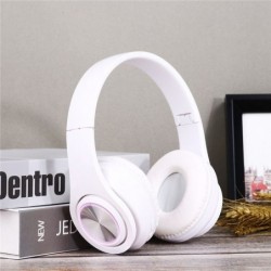Portable Wireless...