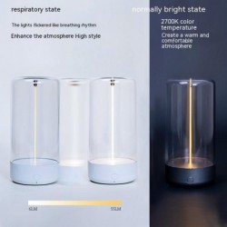 New LED Camping Light...