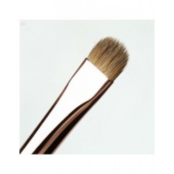 Beautilicious brush ble 322...
