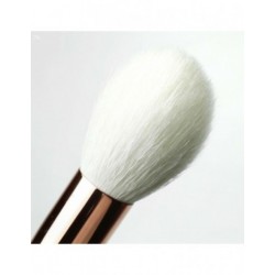 Beautilicious brush blf 214