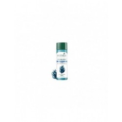 Biotique bio kelp