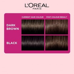 L'Oreal Paris Casting Creme Gloss Hair Color 500 Medium Brown 159.5 Gm