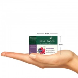 Biotique Bio Berry Plumping Lip Balm Smoothes & Swells Lips 12gm